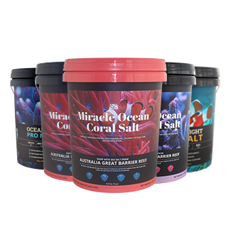 20L橘皮肥料塑料桶